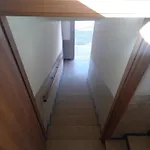 Luce Del Mattino *
