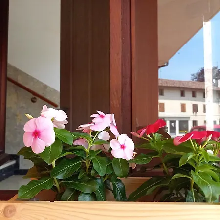 Luce Del Mattino Διαμέρισμα San Vito al Tagliamento